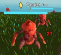 Crab image.png